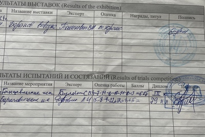 Продам щенка от рабочих родителей