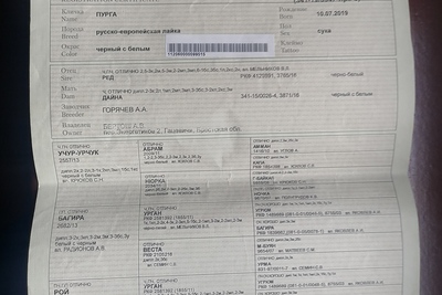 Продажа лаек