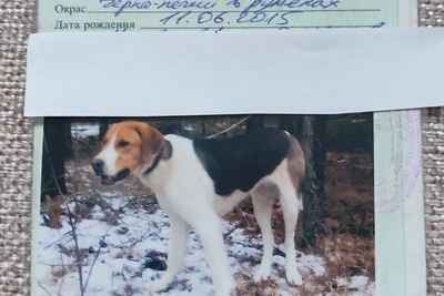 Продам документы