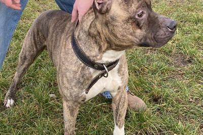 Ищем подружку для первой вязки