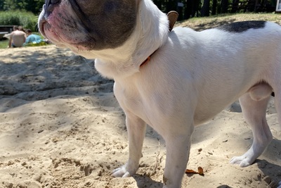 Ищем девочку для вязки