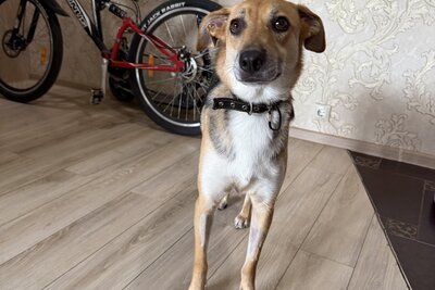 Молоденькая девочка Мия в добрые руки