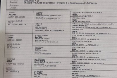 Продам родословную