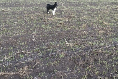 Продажа РЕЛ