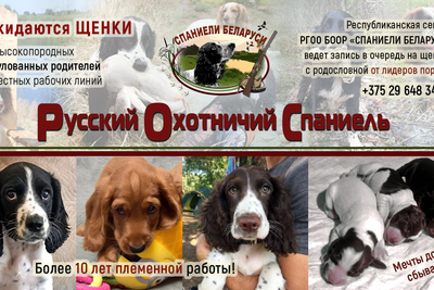 РОС от титульных рабочих родителей