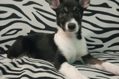 Эмма ищет семью