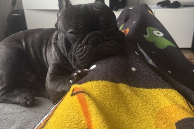 Ищем девочку для развязки