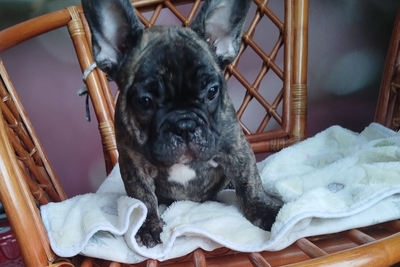 Милый малыш