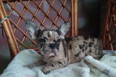 Милый мальчик