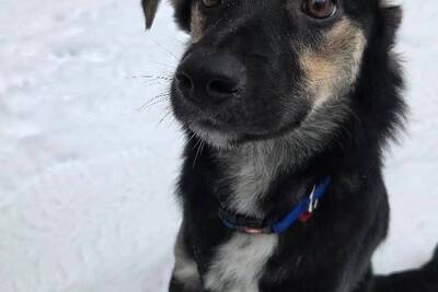 УМНЕЙШАЯ КОЗЯВОЧКА ЖДЕТ СВОЮ СЕМЬЮ