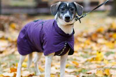 элегантная красотка Тея ищет семью