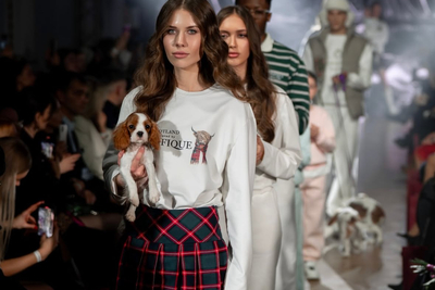 Кавалер Кинг Чарльз Спаниель - собеседование с будущими владельцами!