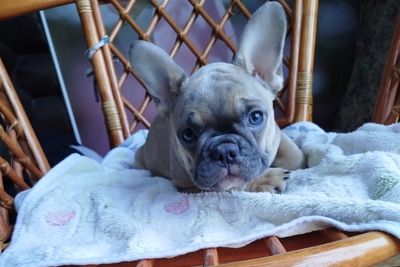 Милая девочка