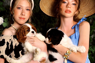 Кавалер Кинг Чарльз Спаниель