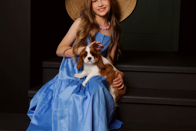 Кавалер Кинг Чарльз Спаниель Налог оплачен: Инспекция Министерства по