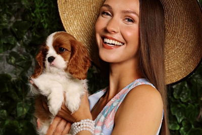 Кавалер Кинг Чарльз Спаниель