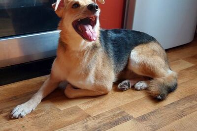 Тима ищет семью