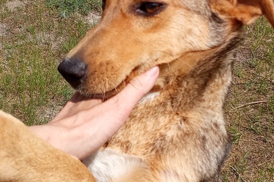 Герда и Найда