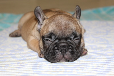 Отличный подарок к 8 марта. Чудесные мальчишки