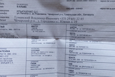 Эстонская гончая