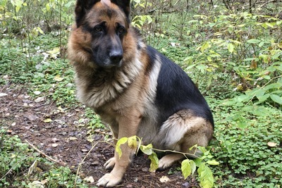 Ищу подружку