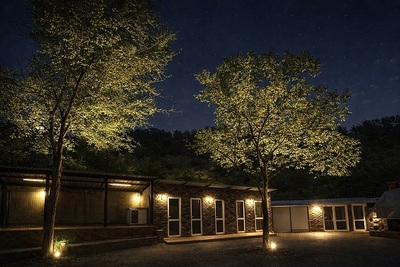 Американский булли XL/XXL