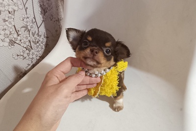 Кукольные велюровые и пуховые малютки-девочки