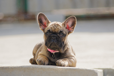 Очаровательные малыши