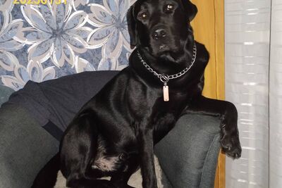 Готов для вязки