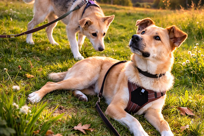 Дин ждёт свою семью!