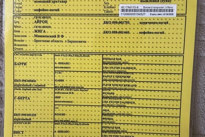 Сука Дратхара