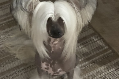 Вязка