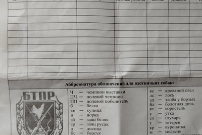 Русская пегая гончая