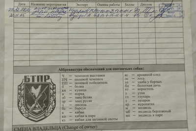 Продам ЗСЛ работает  лось, кабан.
